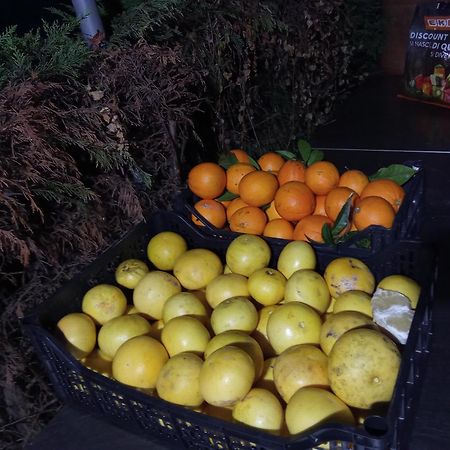 Agriturismo Cele Celle Ligure Εξωτερικό φωτογραφία