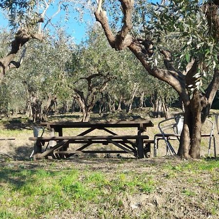 Agriturismo Cele Celle Ligure Εξωτερικό φωτογραφία