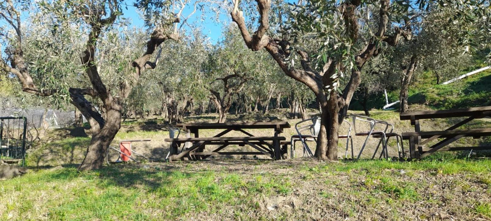 Agriturismo Cele Celle Ligure Εξωτερικό φωτογραφία