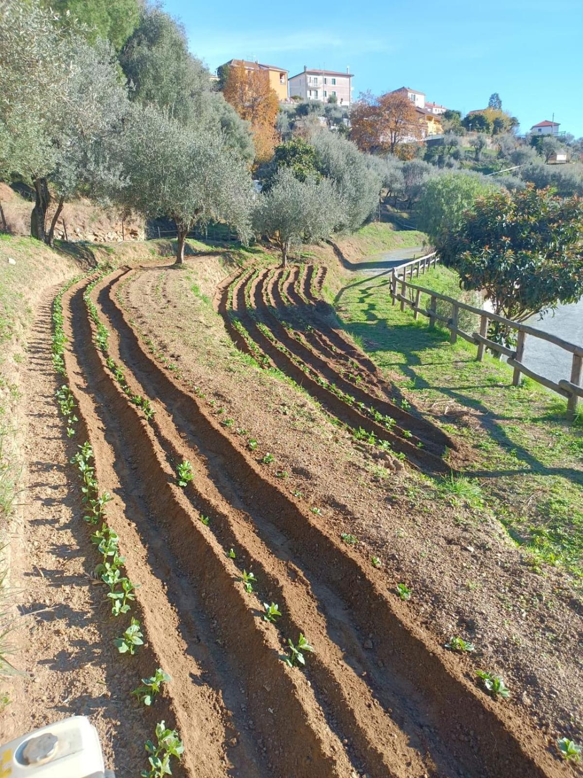 Agriturismo Cele Celle Ligure Εξωτερικό φωτογραφία