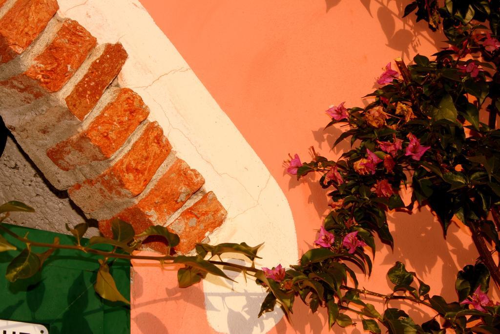 Agriturismo Cele Celle Ligure Εξωτερικό φωτογραφία